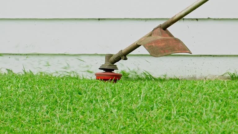 Grass Overseeding in Flanders, NY